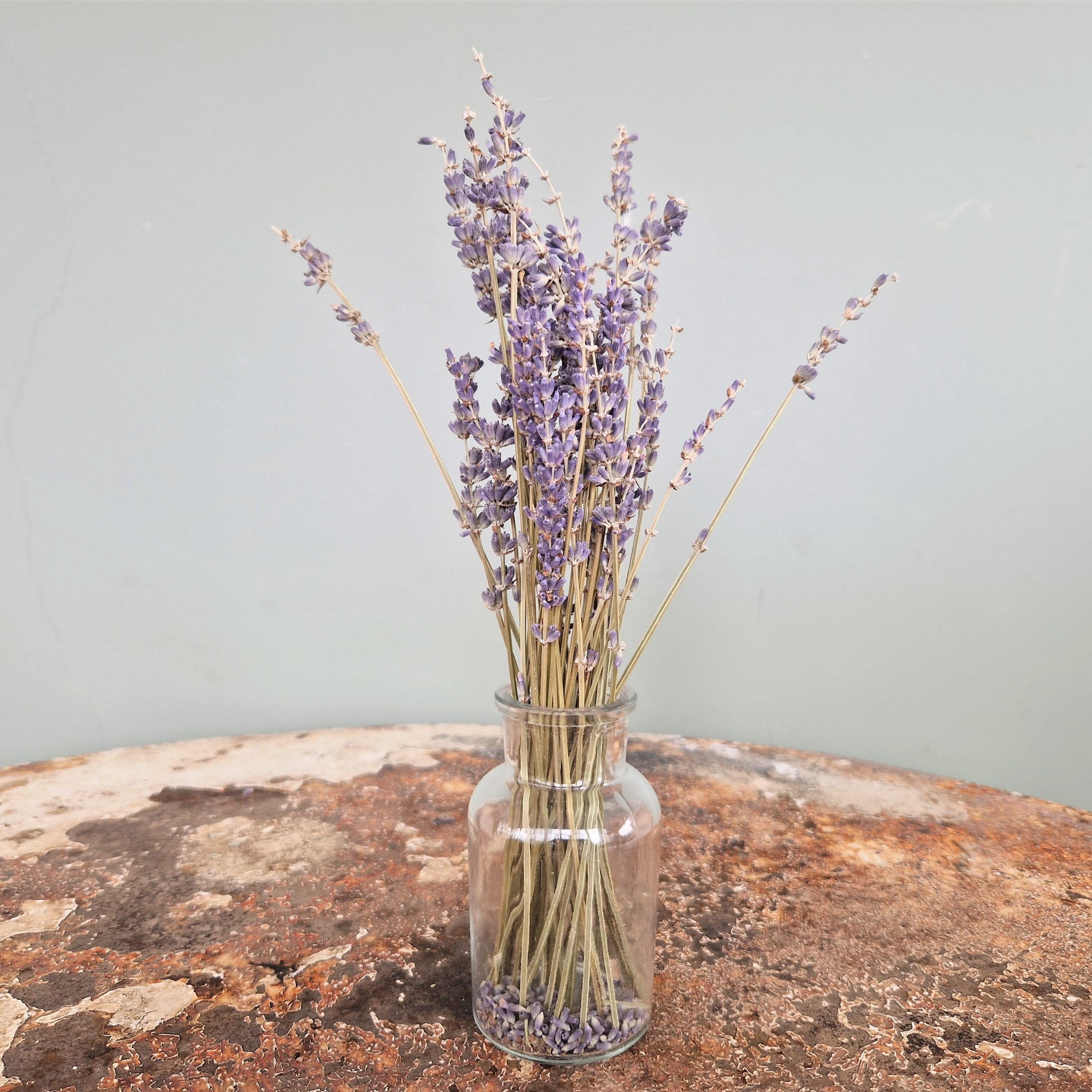 Natural Dried Small French Lavender Bunch
